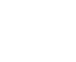 borderDash2